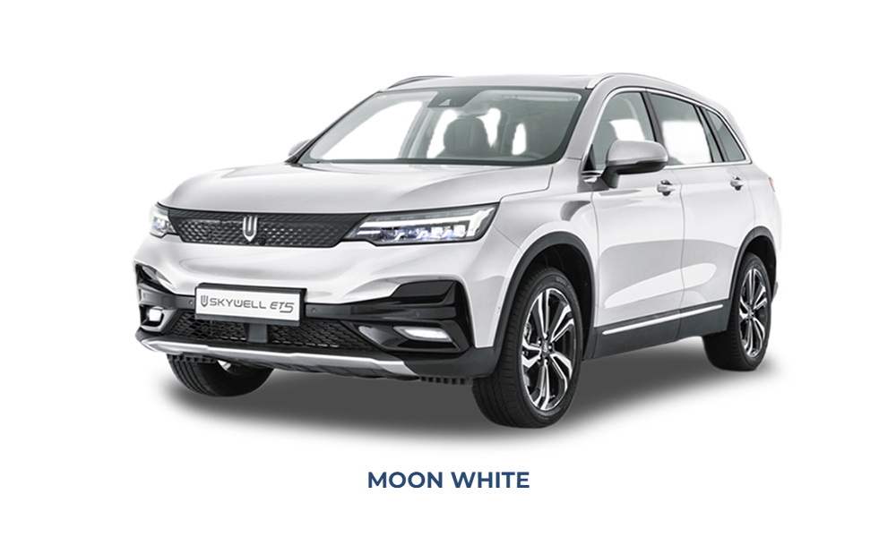 skywell moon white