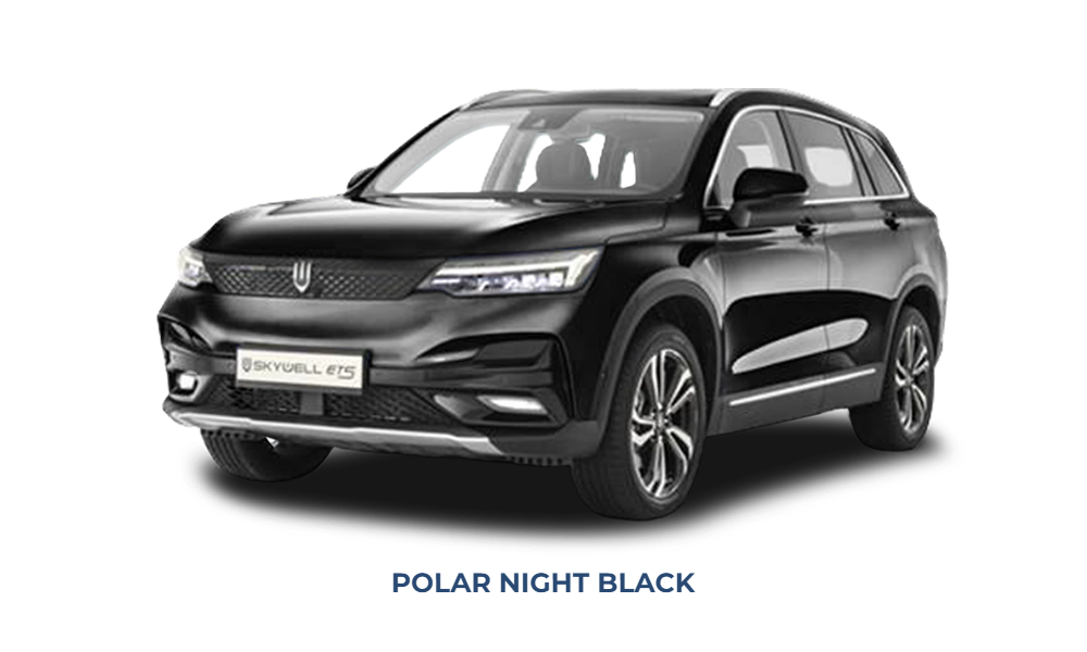 skywell polar night black