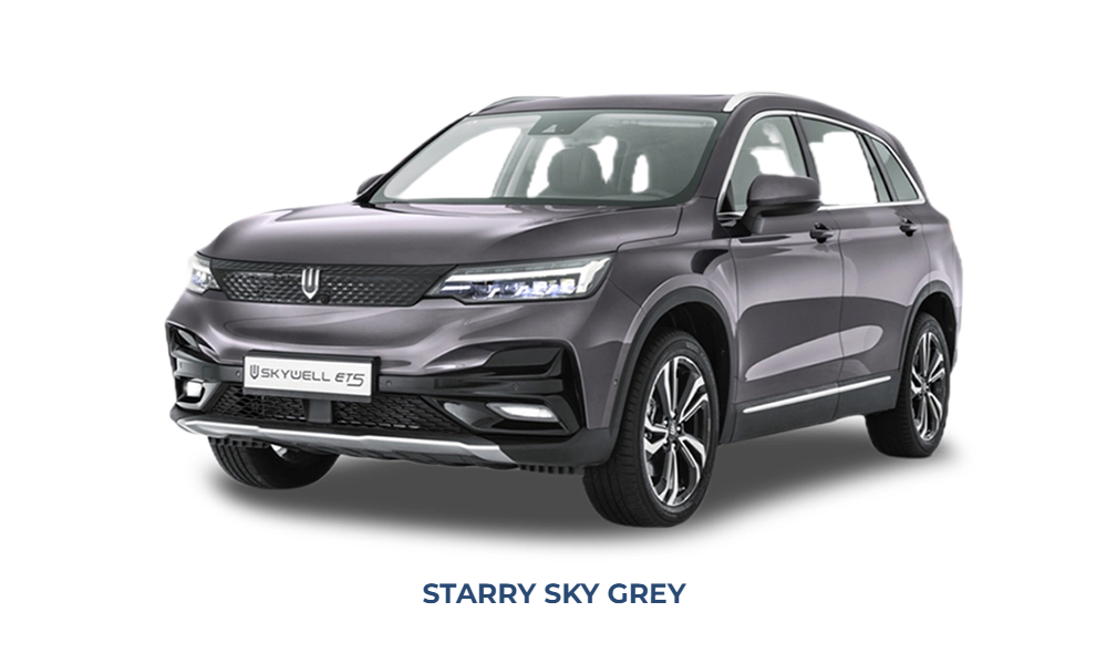 skywell starry sky grey